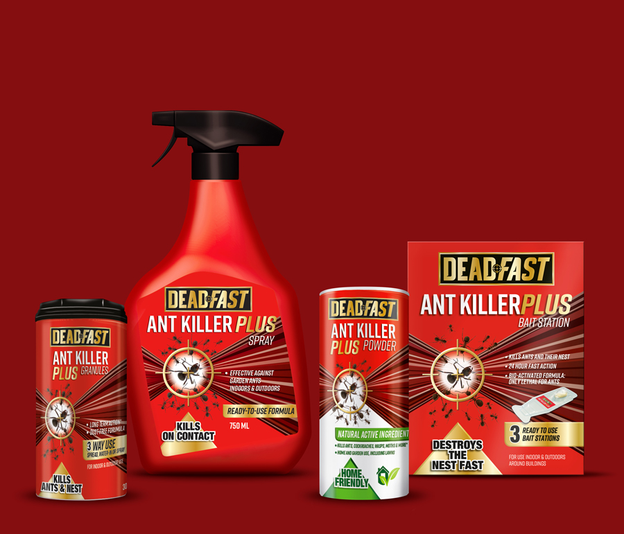 DEADFAST_RANGE_small12